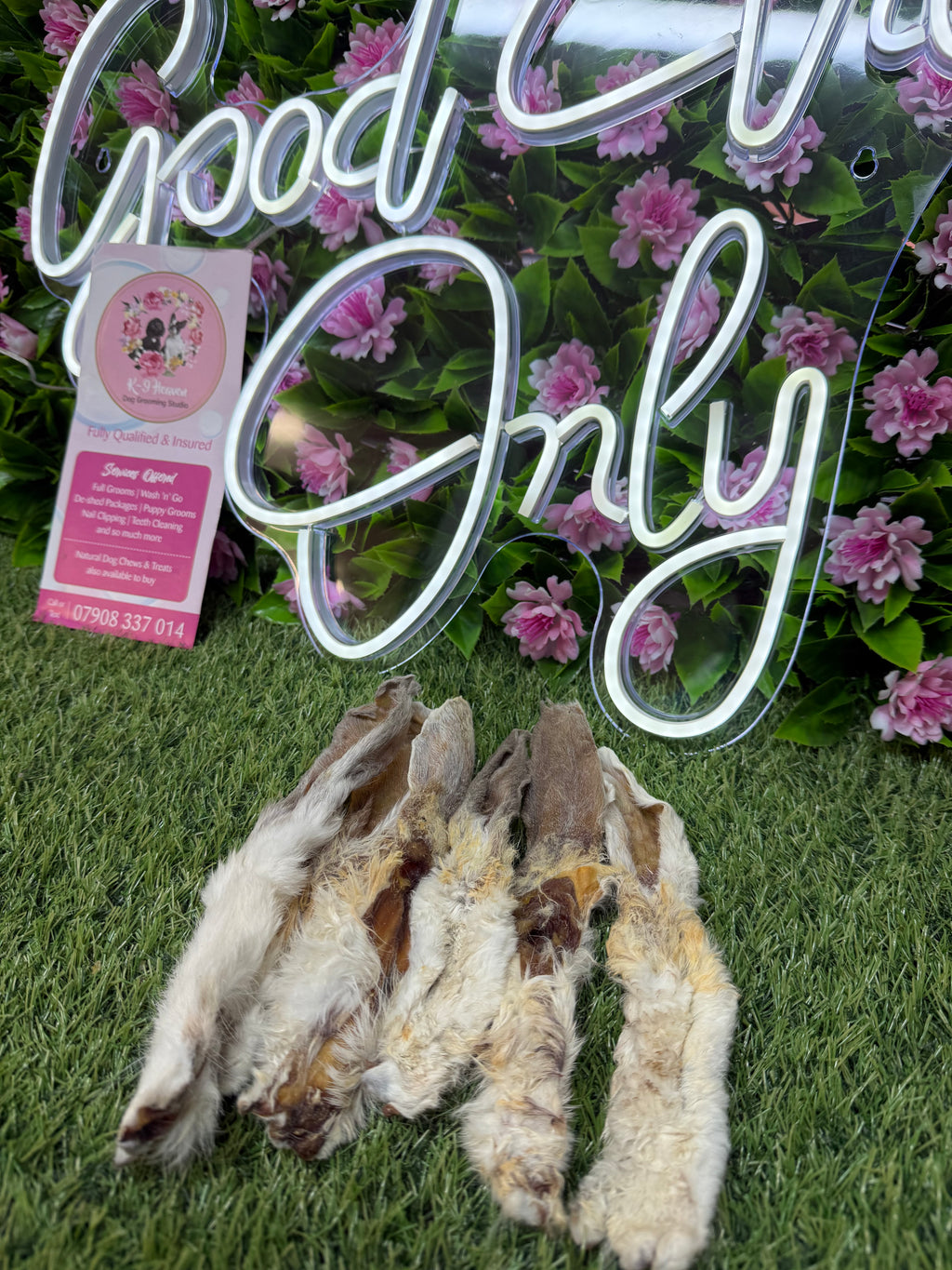 Hairy rabbit ears