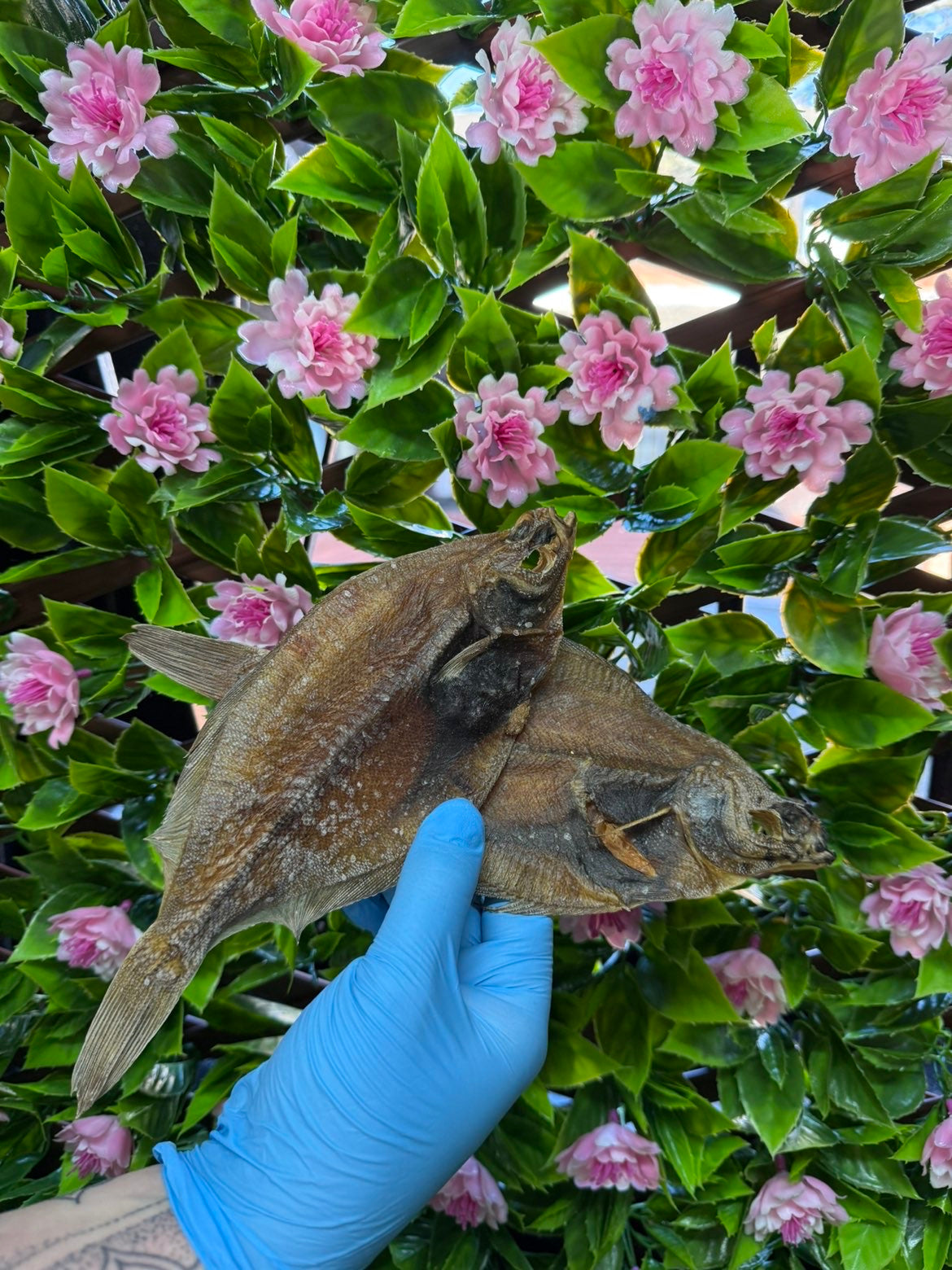 Whole dried fish