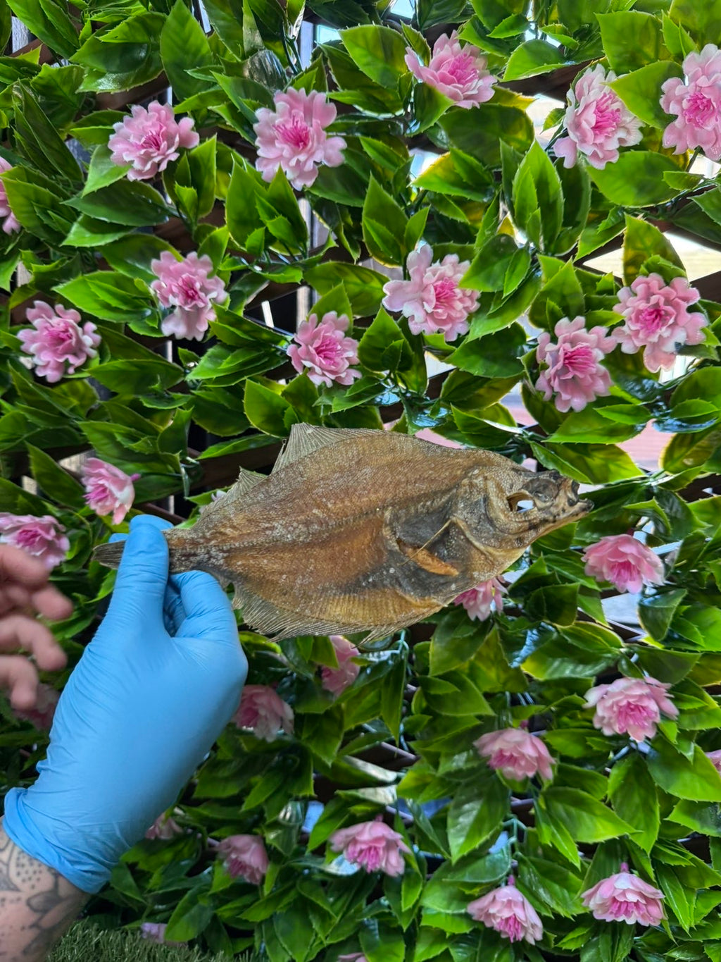 Whole dried fish
