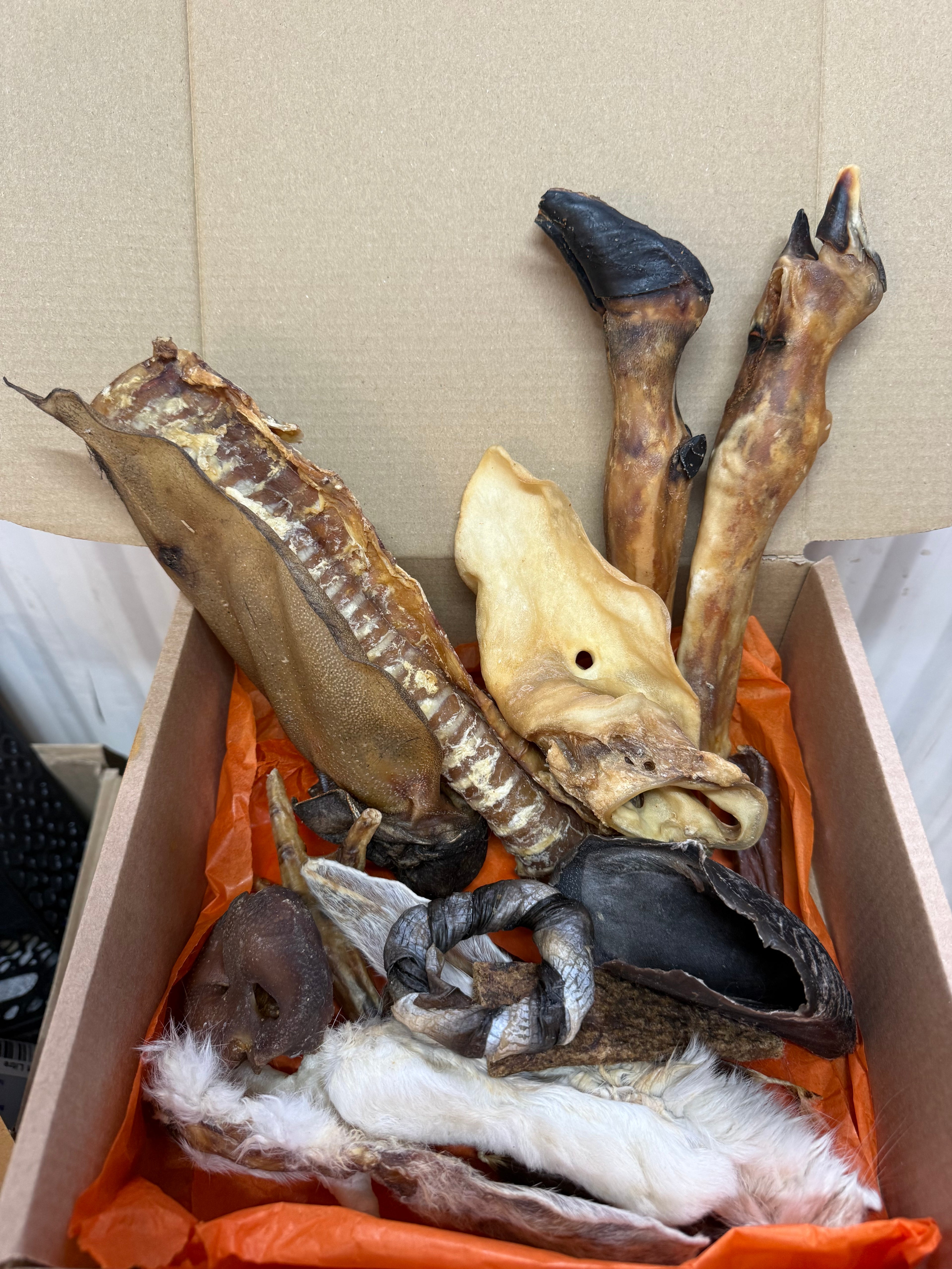 The zoo box