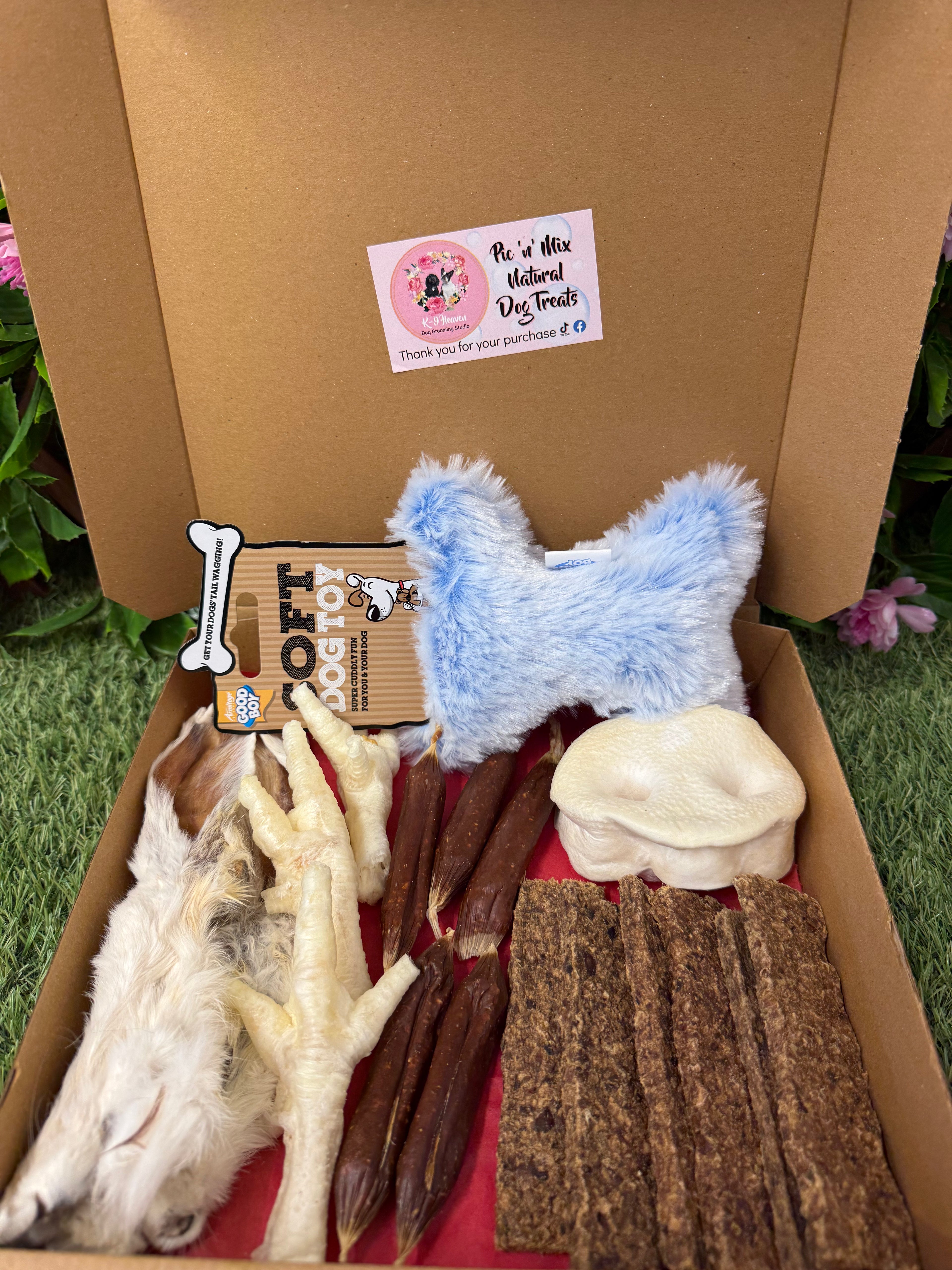 Puppy box